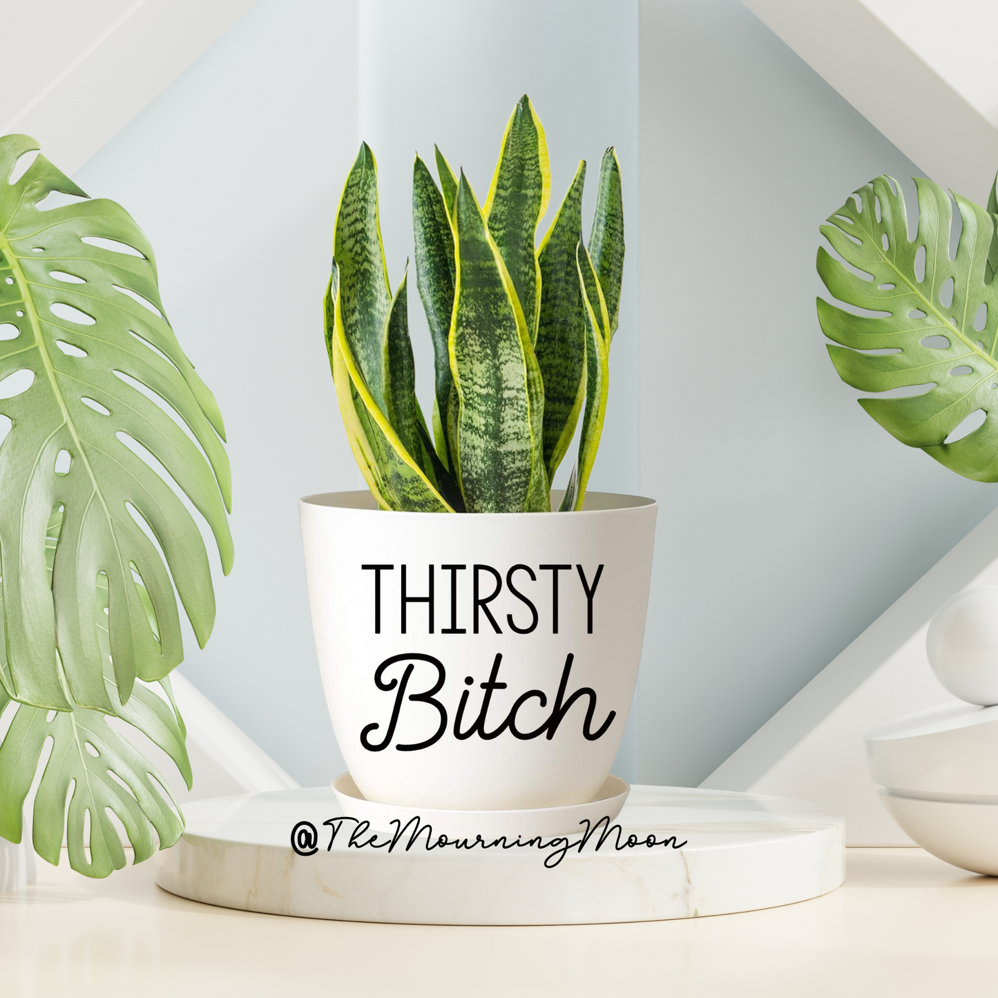 Thirsty bitch plant pot
