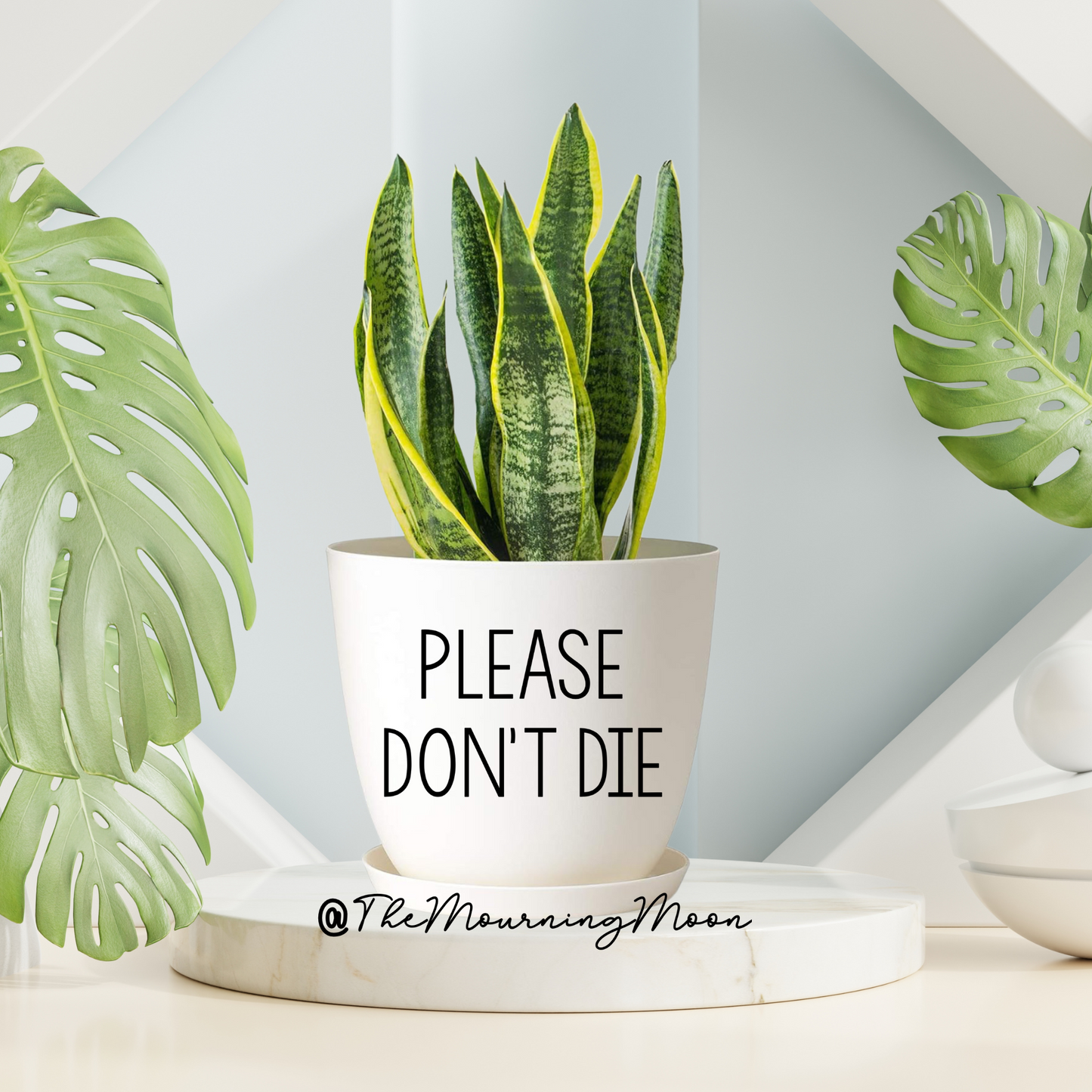 Please don’t die plant pot