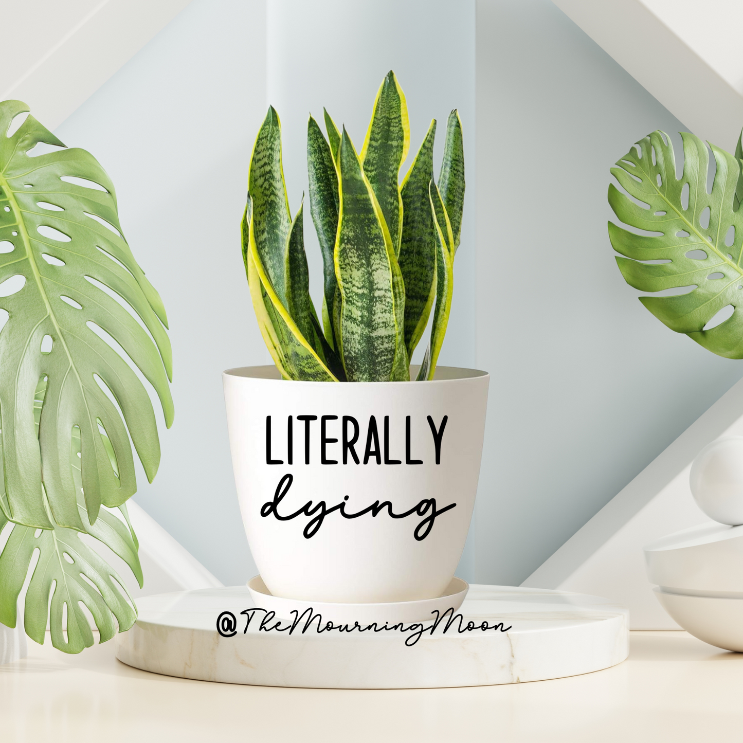 Literally dying plant pot