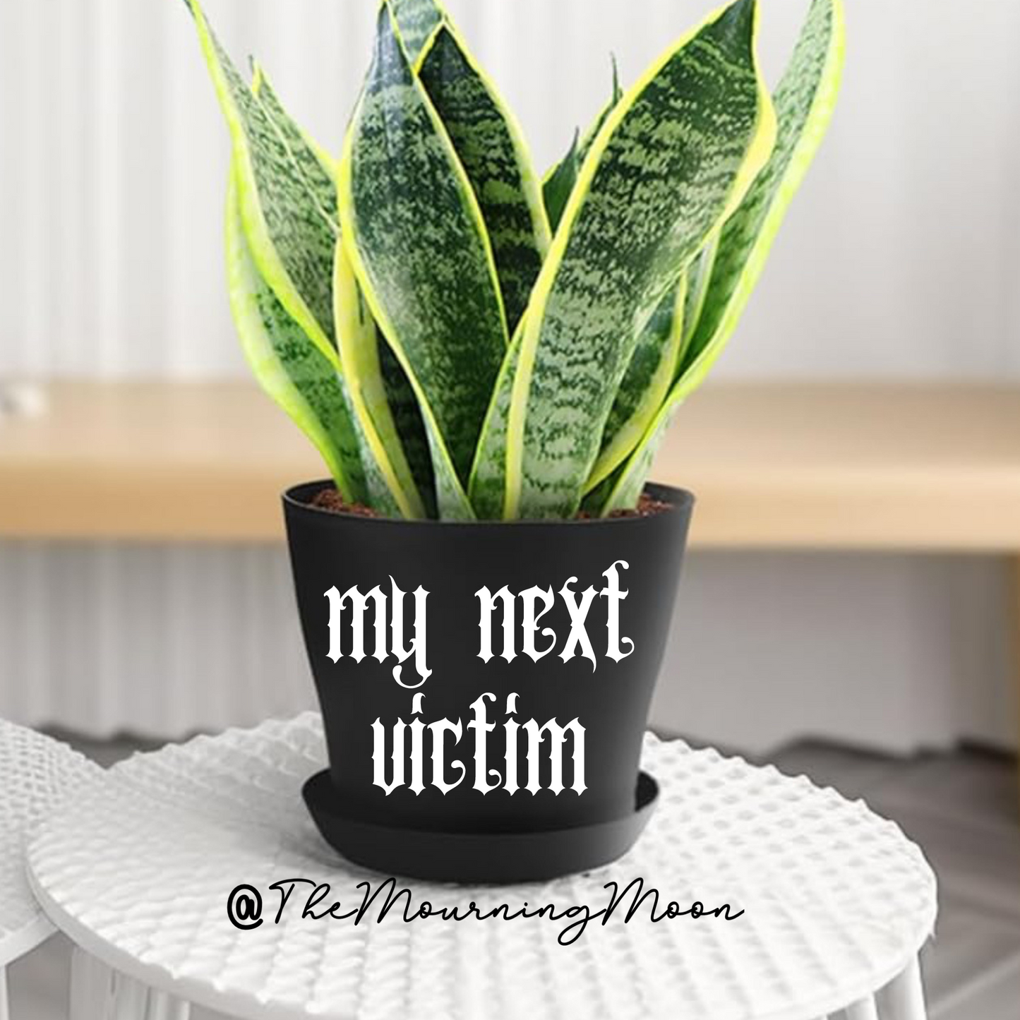 My next victim plant pot