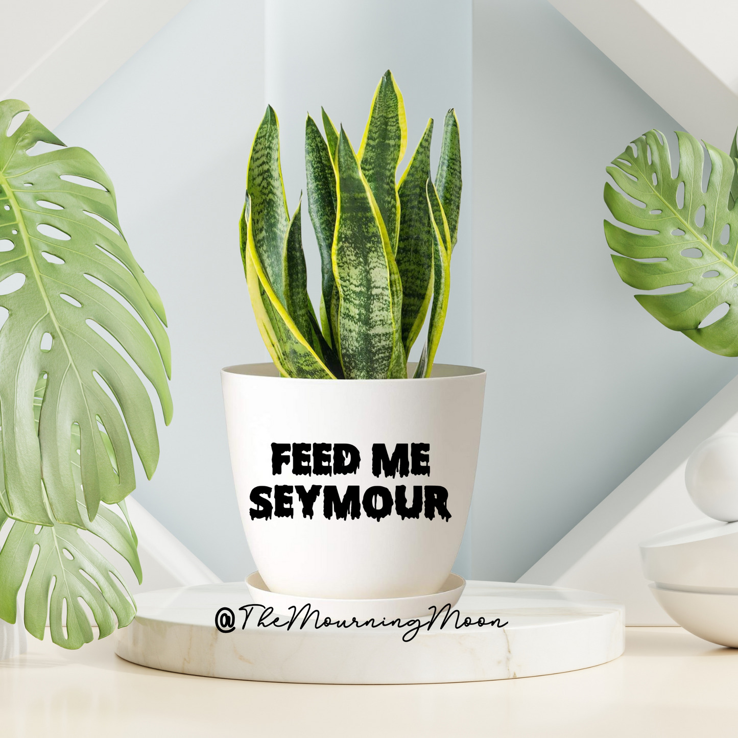 Feed me seymour plant pot