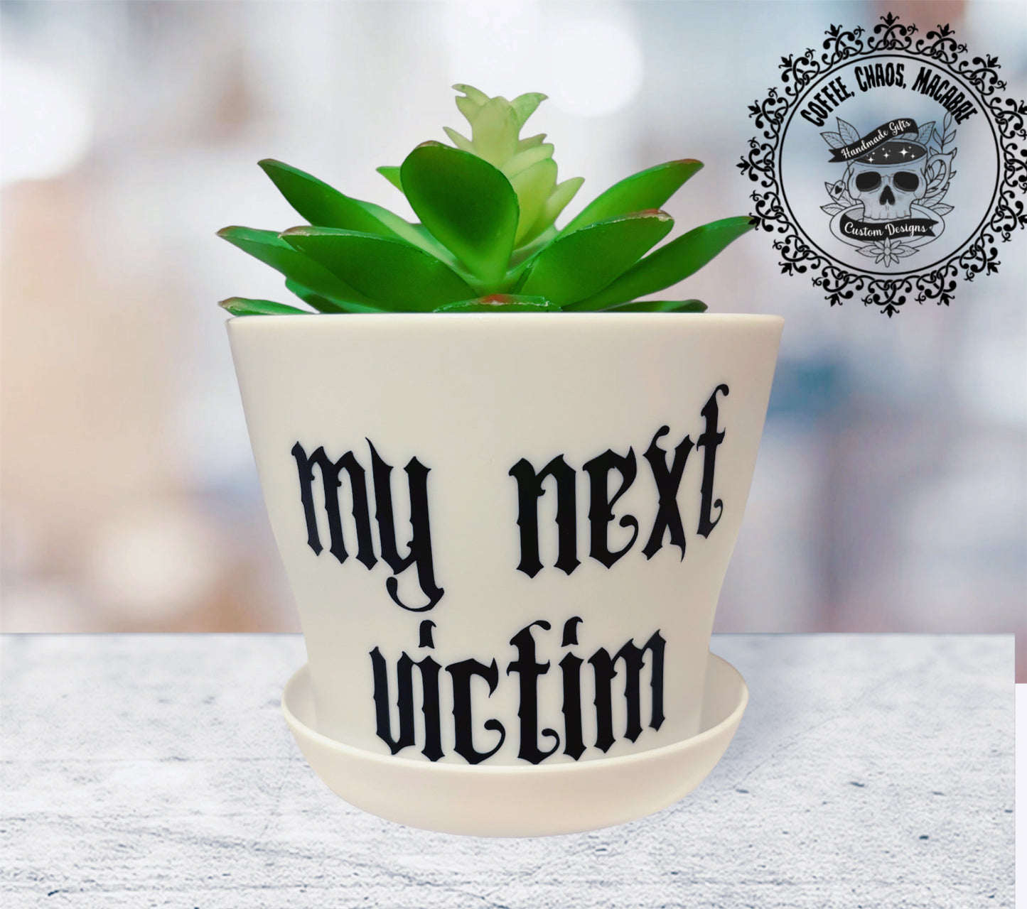 My next victim plant pot
