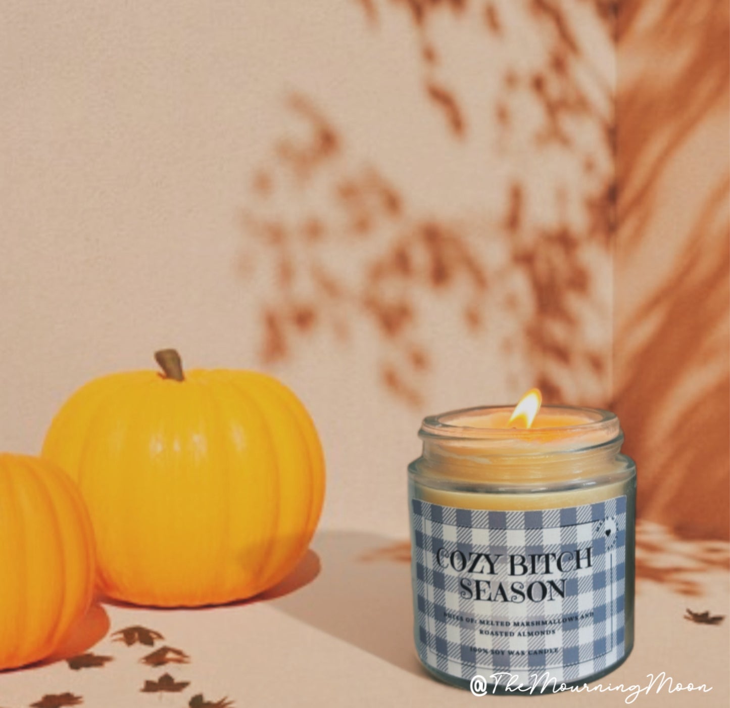 Cozy bitch season candle