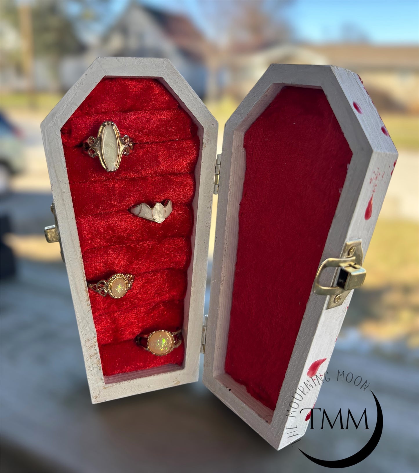 Bloody coffin shaped jewelry box