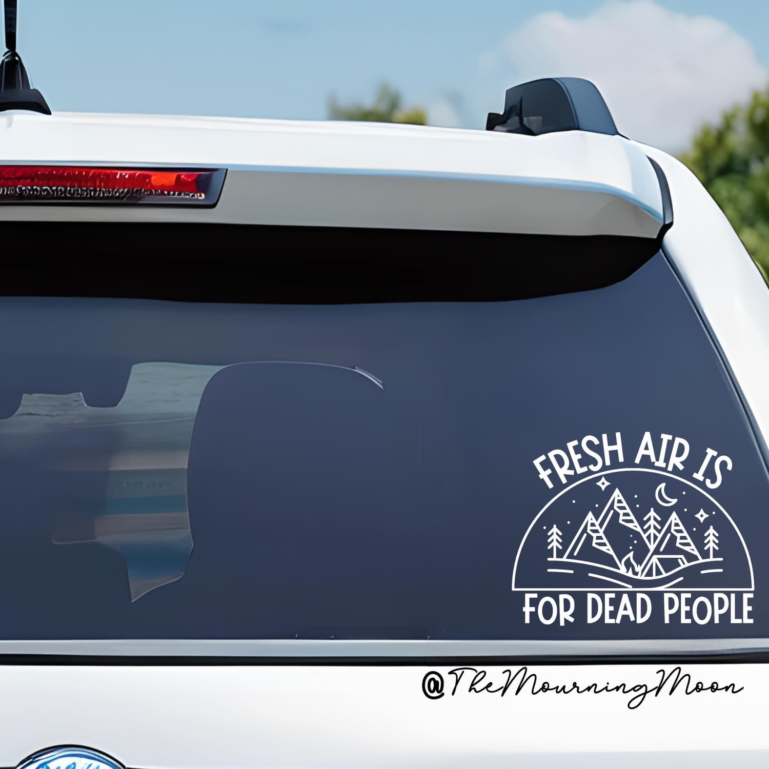 Vinyl Decals