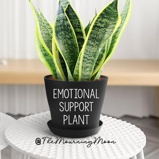 Emotional support plant pot
