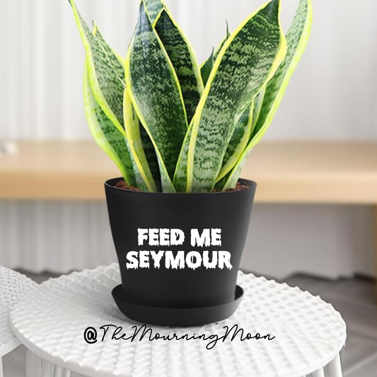 Feed me seymour plant pot
