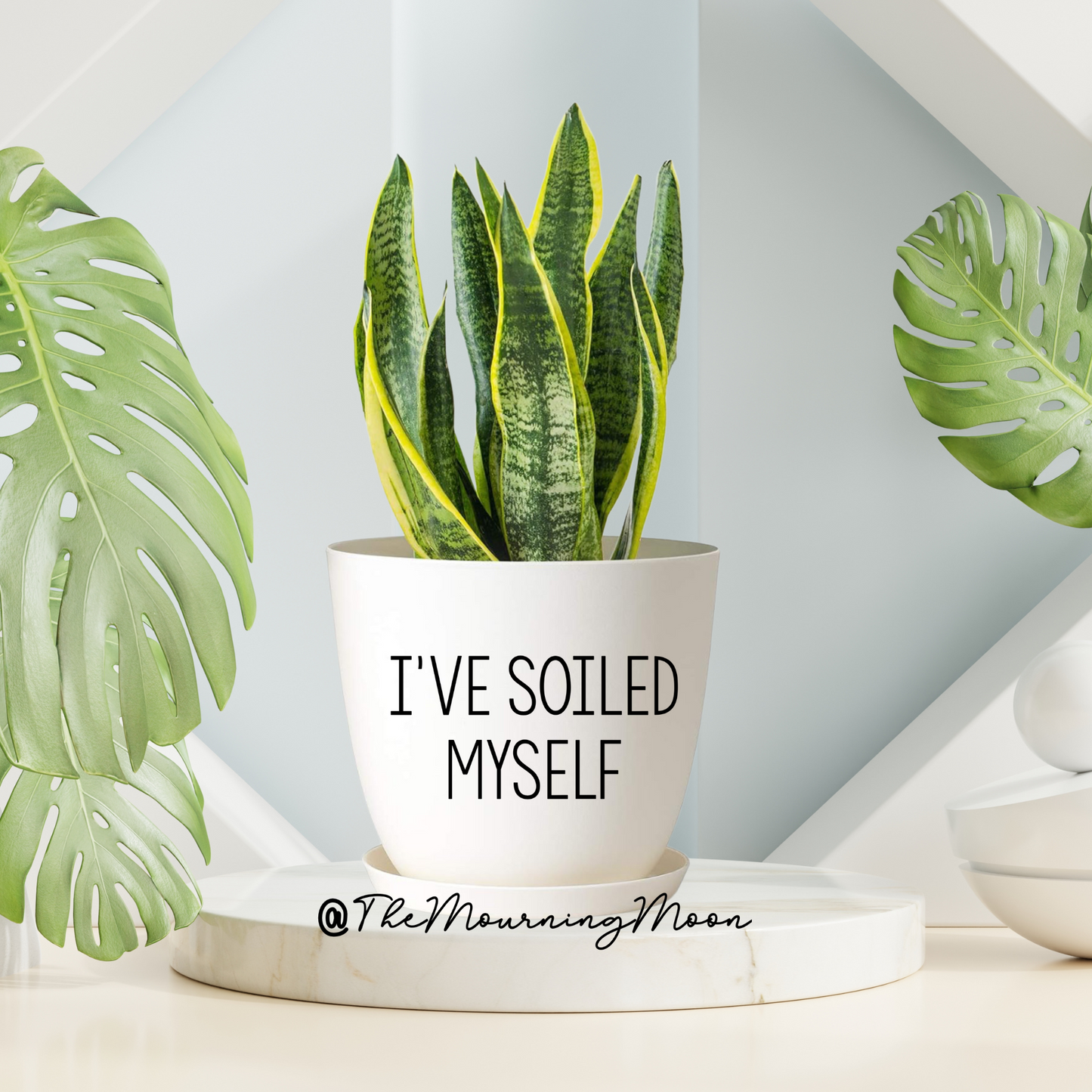 I’ve soiled myself plant pot