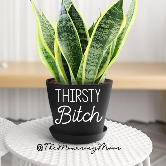 Thirsty bitch plant pot